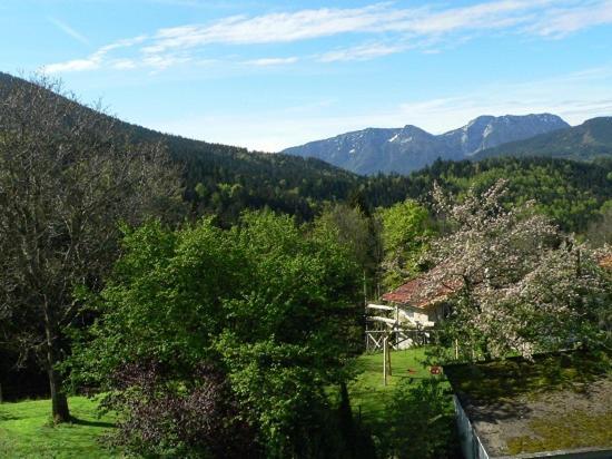 Fembacherhof Farm stay