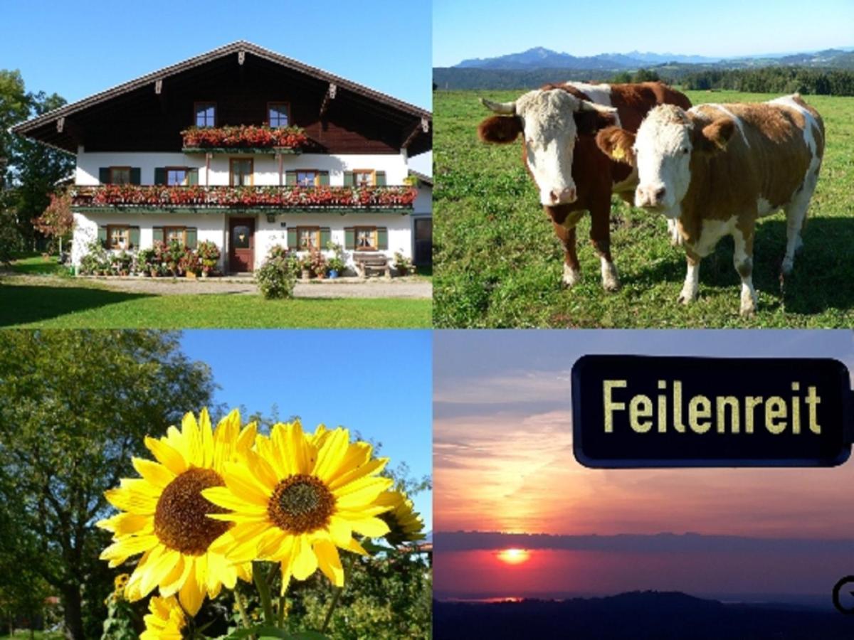 Fembacherhof *